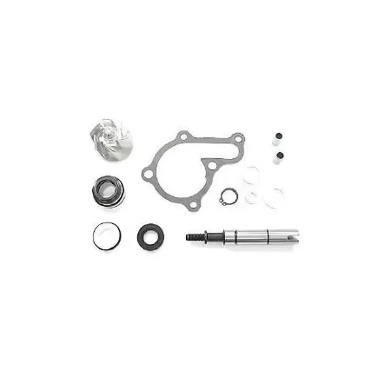 Kymco Water Pump Repair Kit Downtown 125i ('09-'16), AA00835