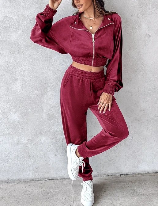 Dames Mode Elegante Pakken 2024 Zomer Herfst Nieuwste Kraag Rits Decoratie Fluwelen Lange Mouwen Sweatshirt Sportbroek Set