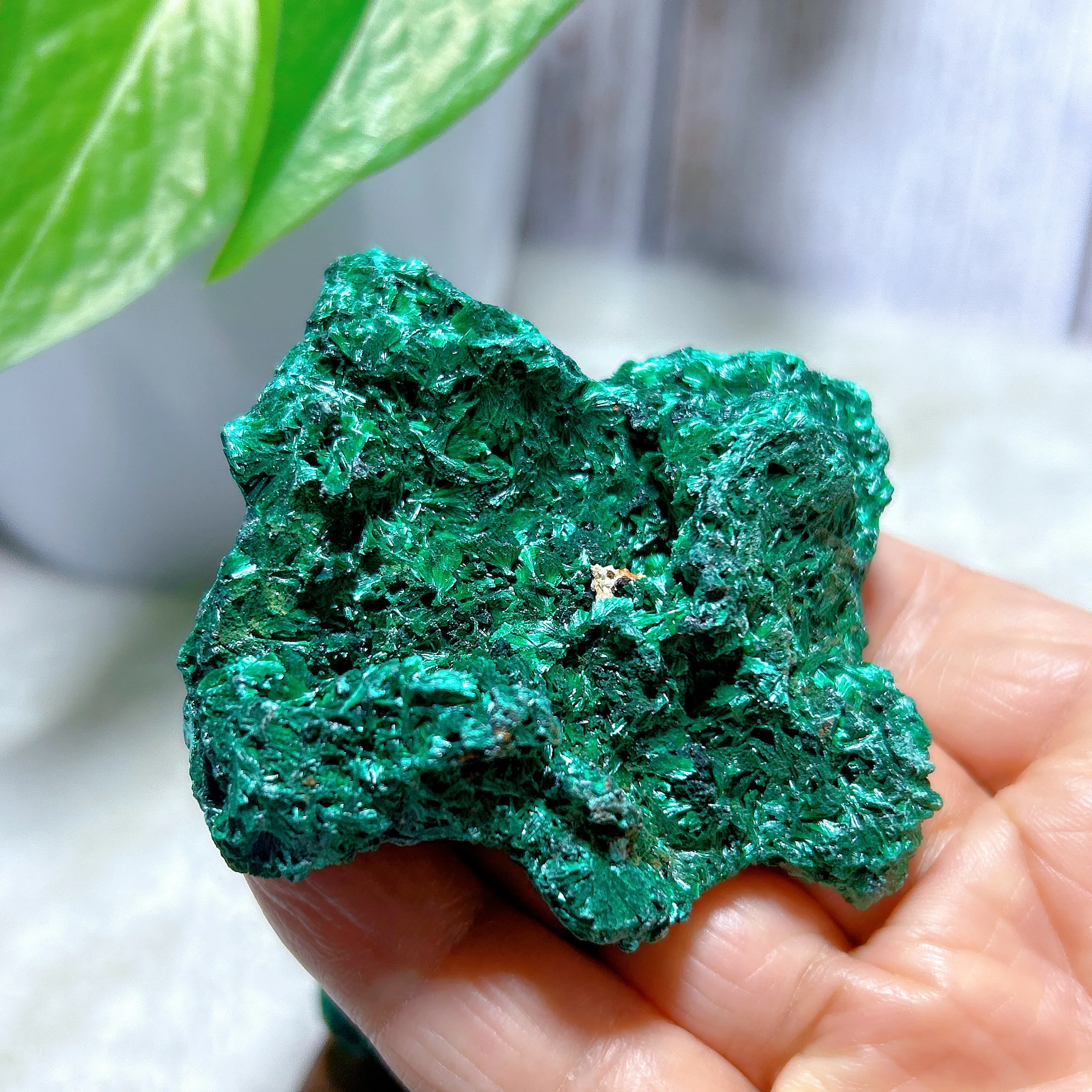 

Healing High Quality Natural Crystal Malachite Specimen Raw Stone Flashy Gemstones Mineral Energy Home Decorations Gift