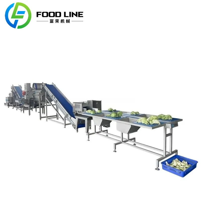 Customized Automatic Continuous Vegetable and Fruits Processing Line for School hospital canteens  Central Kitchen & Catering