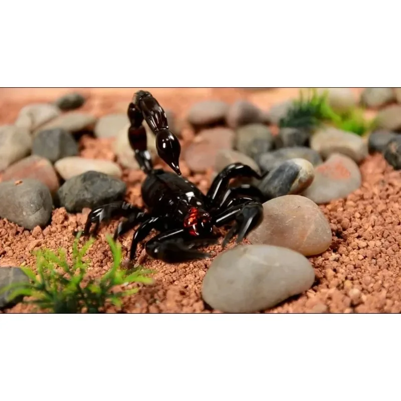 خدعة مضحكة للحيوانات الأليفة الإلكترونية RC محاكاة c المزحة لعبة بيتل التحكم عن بعد نكت ممارسة الحيوانات الذكية