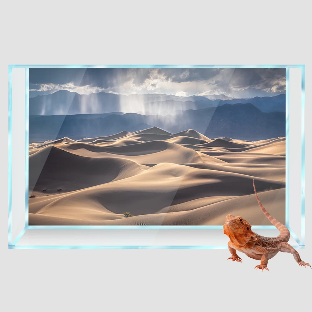 Reptile Habitat Background Sky Desert 3D HD Printing Wallpaper Fish Tank Aquarium Background Decorations PVC Landscape Poster