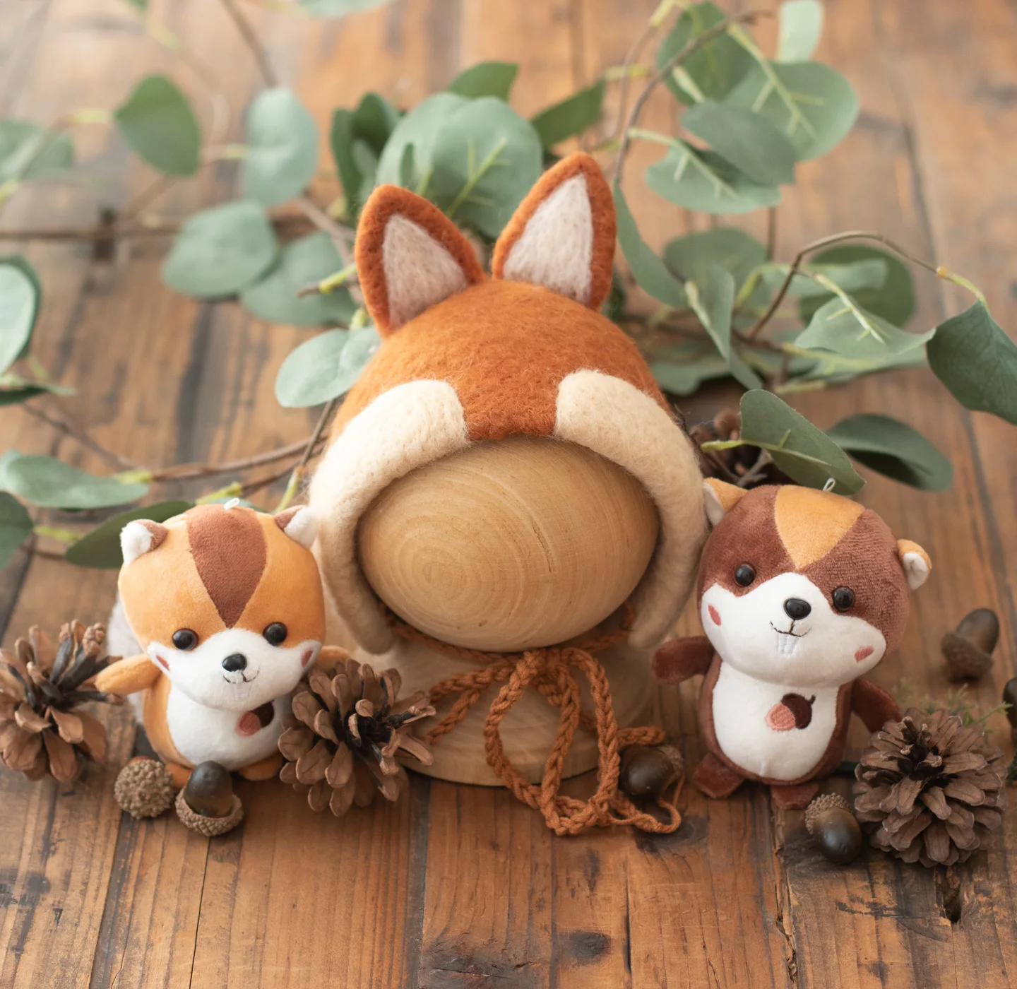 ❤️Newborn Photography Props Accessories Cute Squirrel Hat+Doll 3Pcs/set Studio Baby Photo Accessory Shoot Cap Toy Fotografia