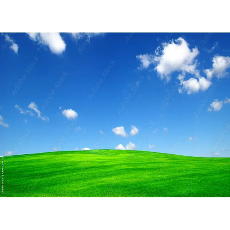 Puntelli di fotografia di paesaggio naturale erba verde e cielo blu con nuvole bianche sfondo fotografico puntelli da Studio 211223 KKLL-03