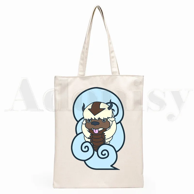 Avatar The Last airdobladora Aang y Appa Anime gráfico Hipster bolsas de compras con estampado de dibujos animados para niñas, moda informal, bolso de mano Pacakge