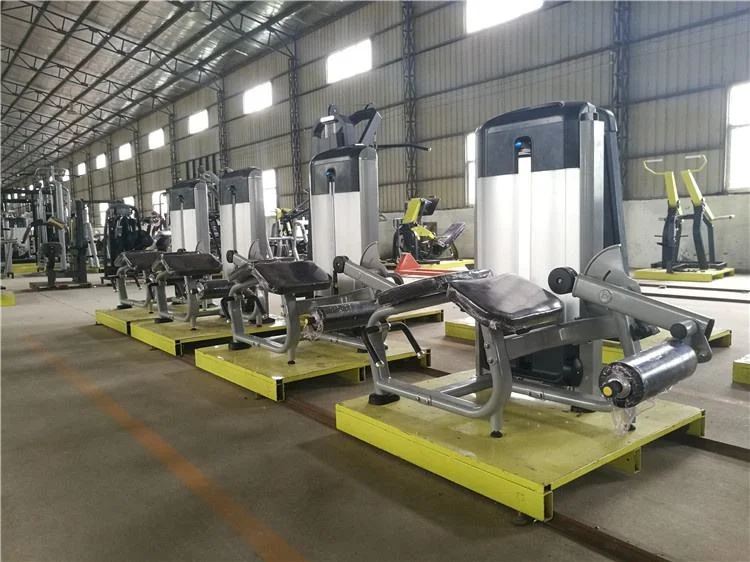 ST-3027 Factory Direct Commercial Gym Equipment Pin Loaded Strength Training Machine Leg Extension & Prone Leg Curl