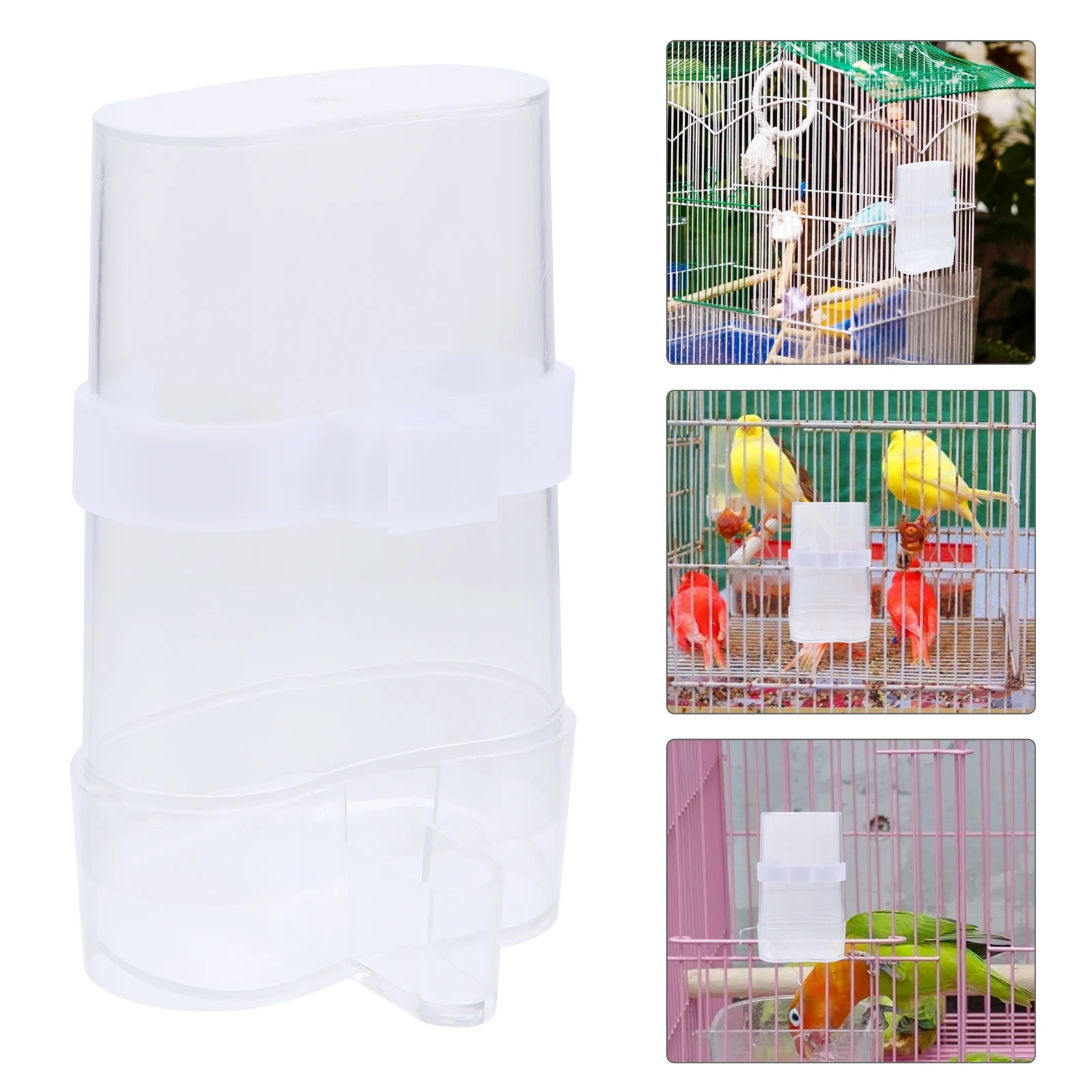 

Automatic Water Feeder Durable Plastic Bird Dispenser Multipurpose Pet Container Thickened Feeders Transparent Design Compact
