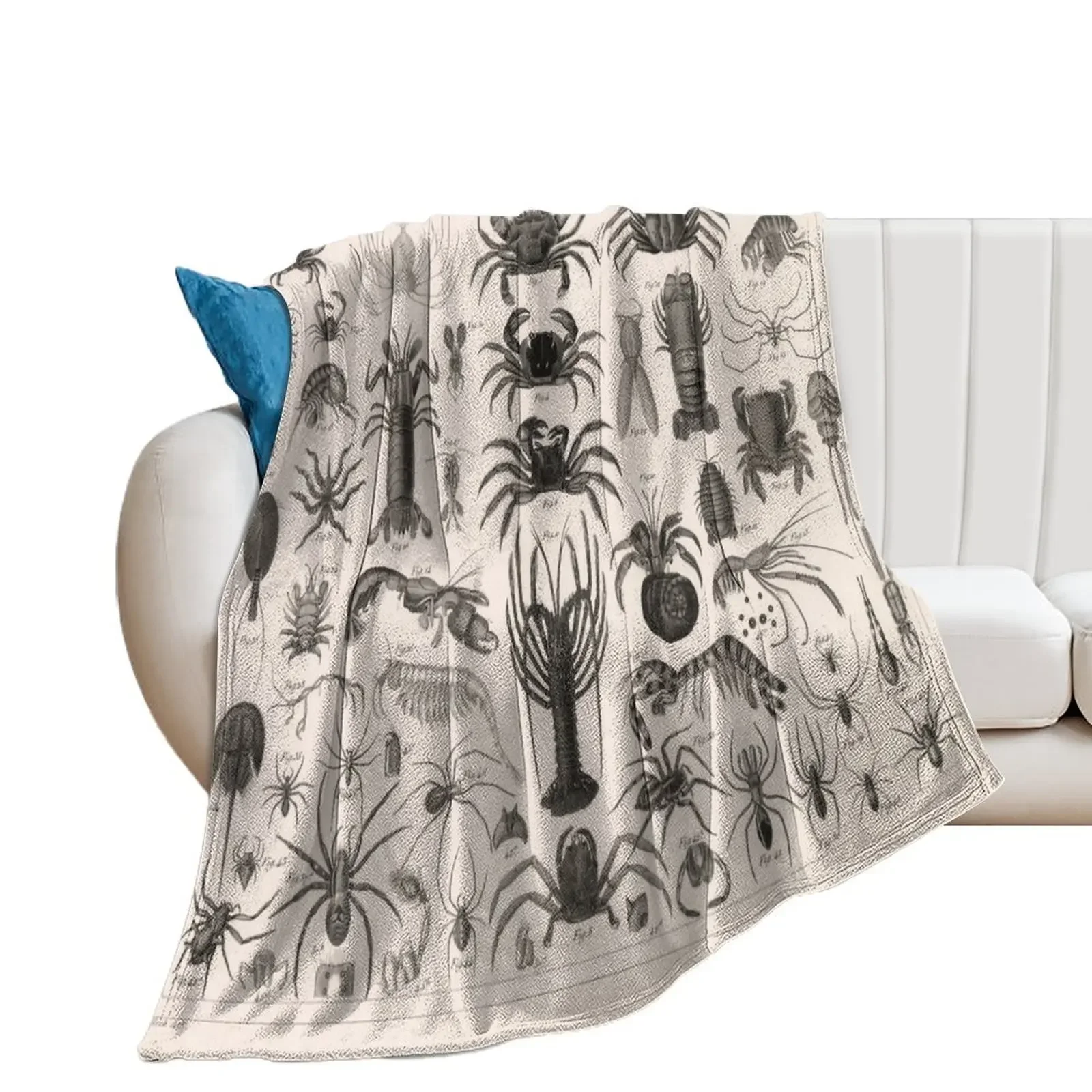 1857 Diagram Zoology: Animals including Crustaceans. Throw Blanket Polar Furrys Fashion Sofas Decorative Throw Blankets