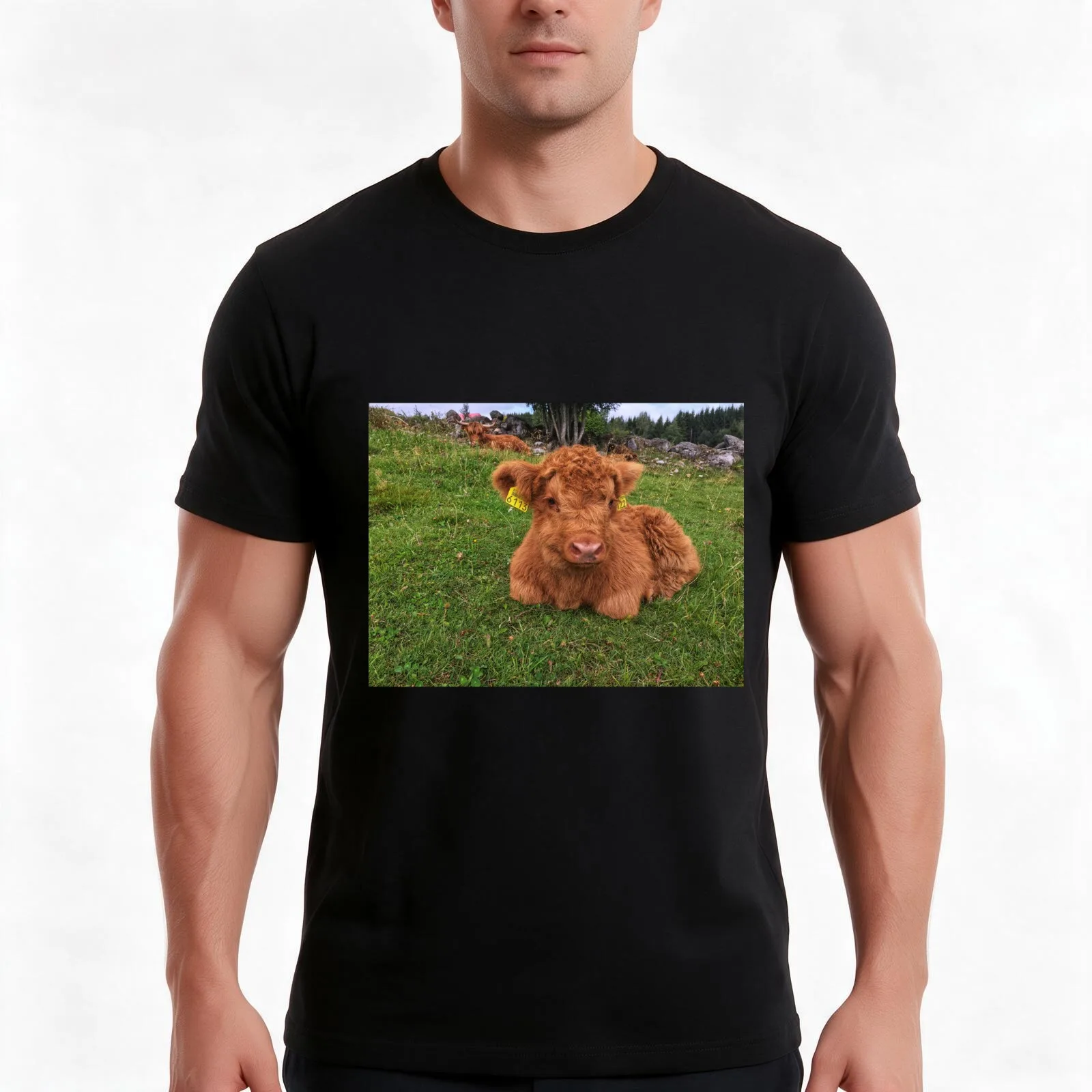 Scottish Highland Cattle Calf 1808 T-Shirt, Summer Casual Cotton Tee, Oversized Streetwear Tops, Vintage Graphic Print