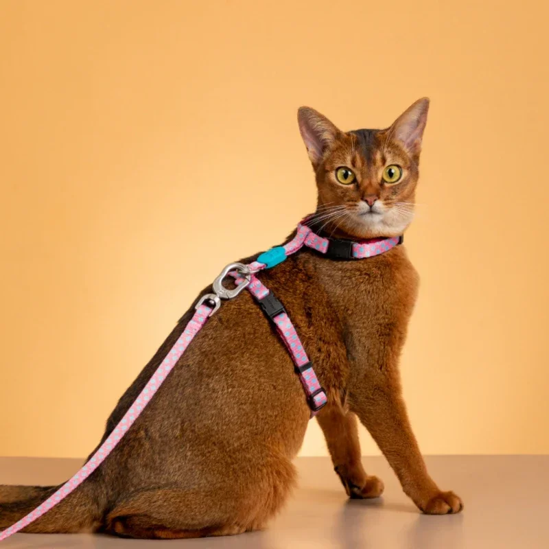 HiDREAM®Cat Harness and Leash Set, Adjustable, Durable, Original Design, Fashion Pattern, High Quality, Escape Proof