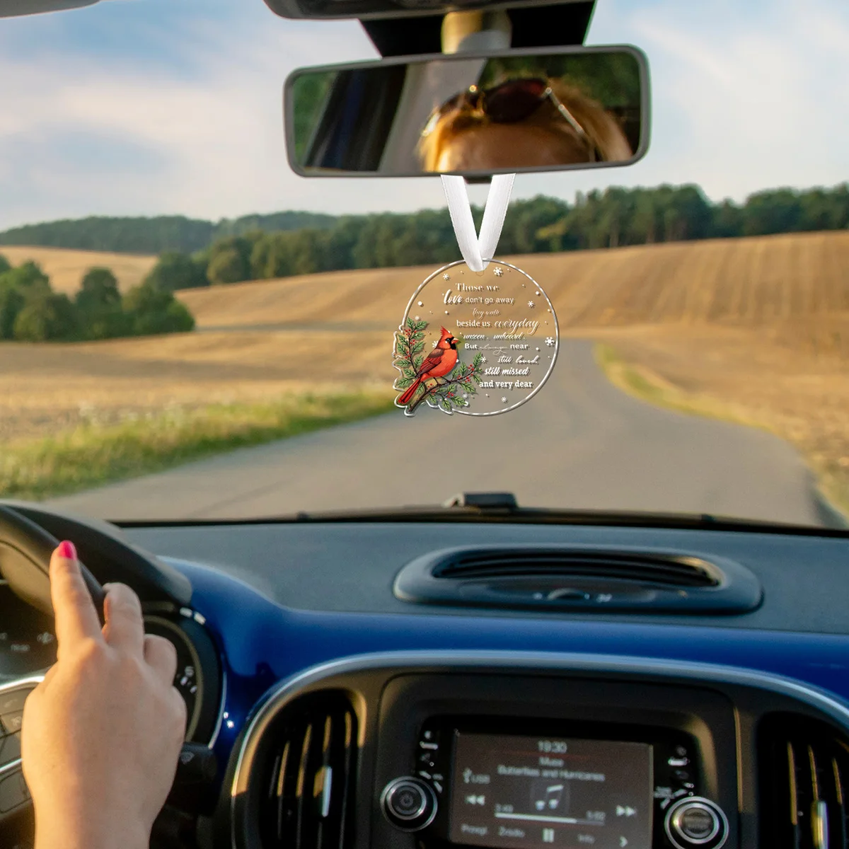 

1PC Christmas Pendant Acrylic Red Parrot Ornaments for Home Car Party Xmas Tree Hanging Decoration 2026 New Year