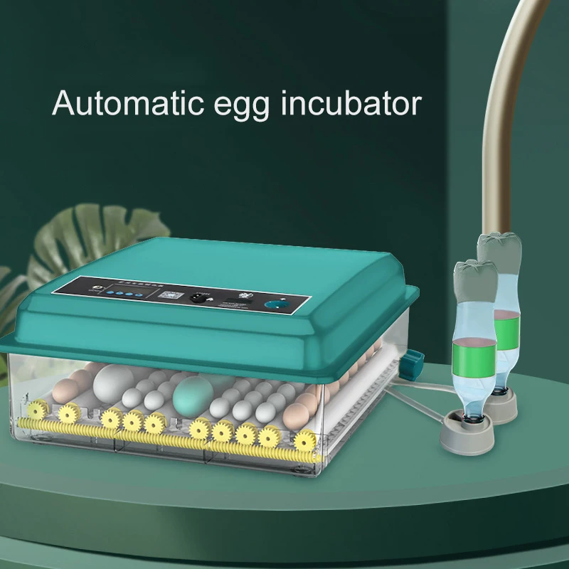 

Инкубатор Маленький бытовой умный инкубатор для яиц Инкубатор для курицы, утки, гуся Машина для курицы Инкубатор для птицы