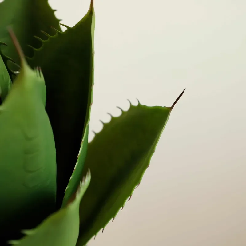 Faux Agave Plant for Nordic Home Decor Artificial Maguey Tree Table Decoration Green Agave Room Decor Plants Interior Decor