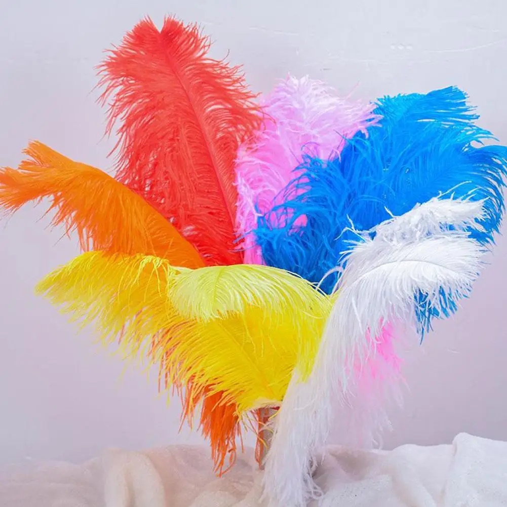 100pcs Ostrich Feather Ornament 15-20cm DIY Natural Home Wedding Party Decoration