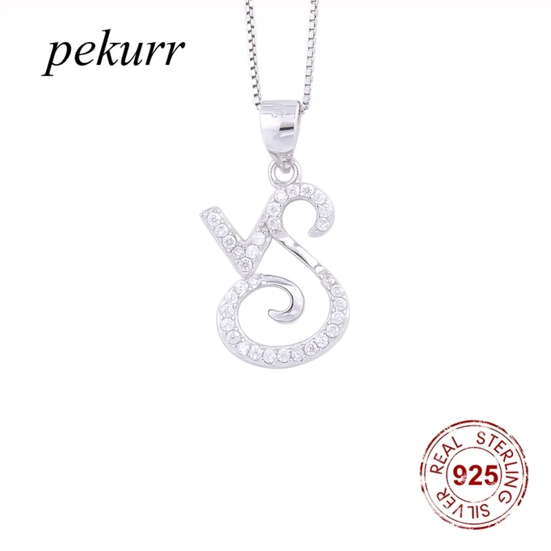 Pekurr 925 Sterling Silver Horoscope Capricorn Zircon Necklace For Women Men Constellation Pendants Zodiac Sign Jewelry