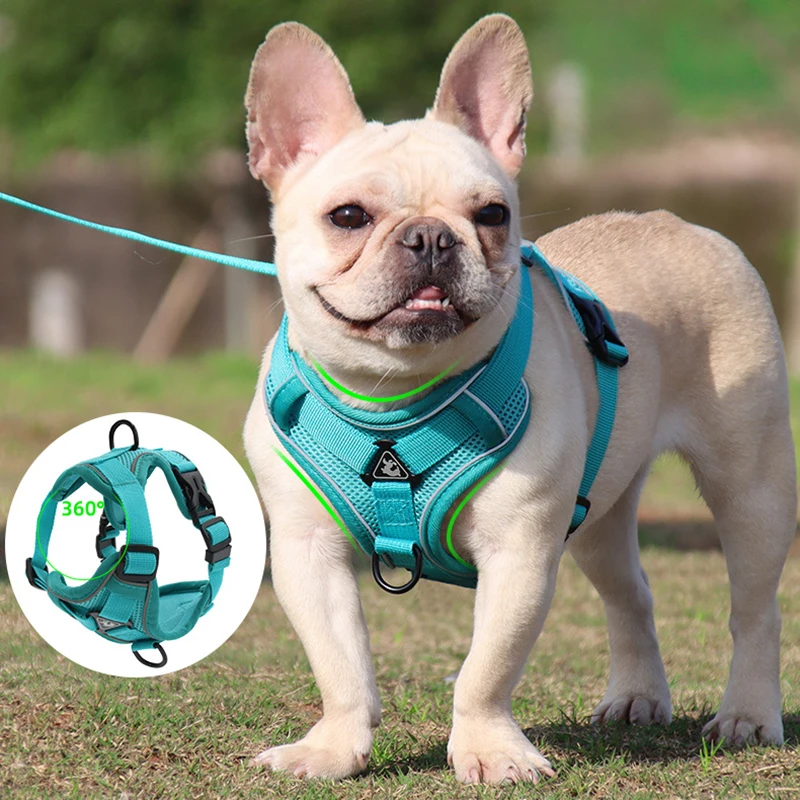 Dog Vest Harness Leash Set Adjustable Pet Harness Vest For Small Dogs Cats Reflective Mesh Dog Chest Strap French Bulldog