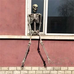 40CM 90CM 170CM Simulation Skeleton Ornament Halloween Party Bar Haunted House Props  Halloween Skull Bones Posable Full Life