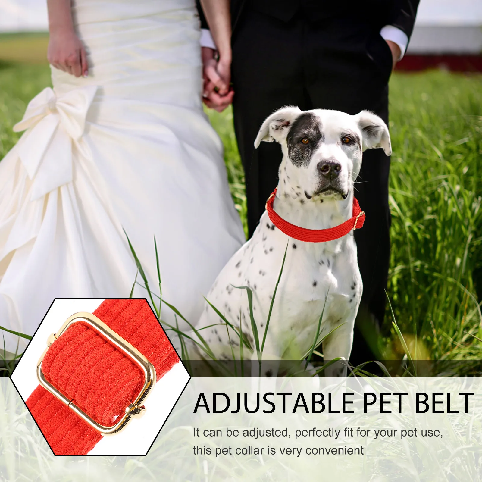 

Pet Collar Cloth Dog Buckle for Dogs Cervical Spine Comfortable Adjustable Collars