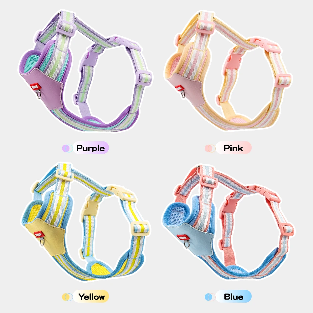 Color Block Harness For Small Dogs Breathable Mesh Pet Walking Lead_voghion.com