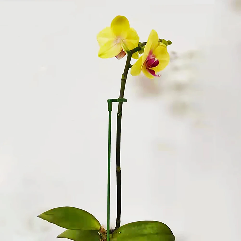 

40Pcs Potted Plant Support Rod Durable Flower Stakes Sticks Garden Accessory Indoor Outdoor Use Potted Plant Support Rod