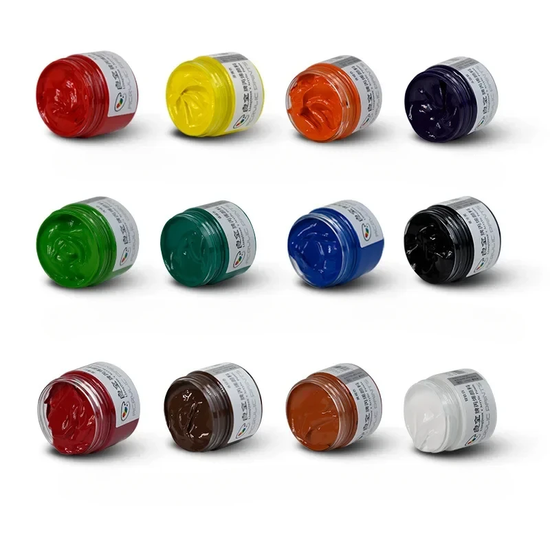 Acrylic Pigment 12 Colors 100ml  Hand Drawn Textiles Children's Painting Hand Drawn Shoes and Clothing Plastic Glass Pigment