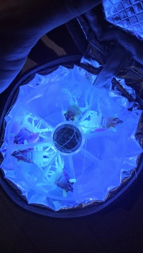리뷰 사진
