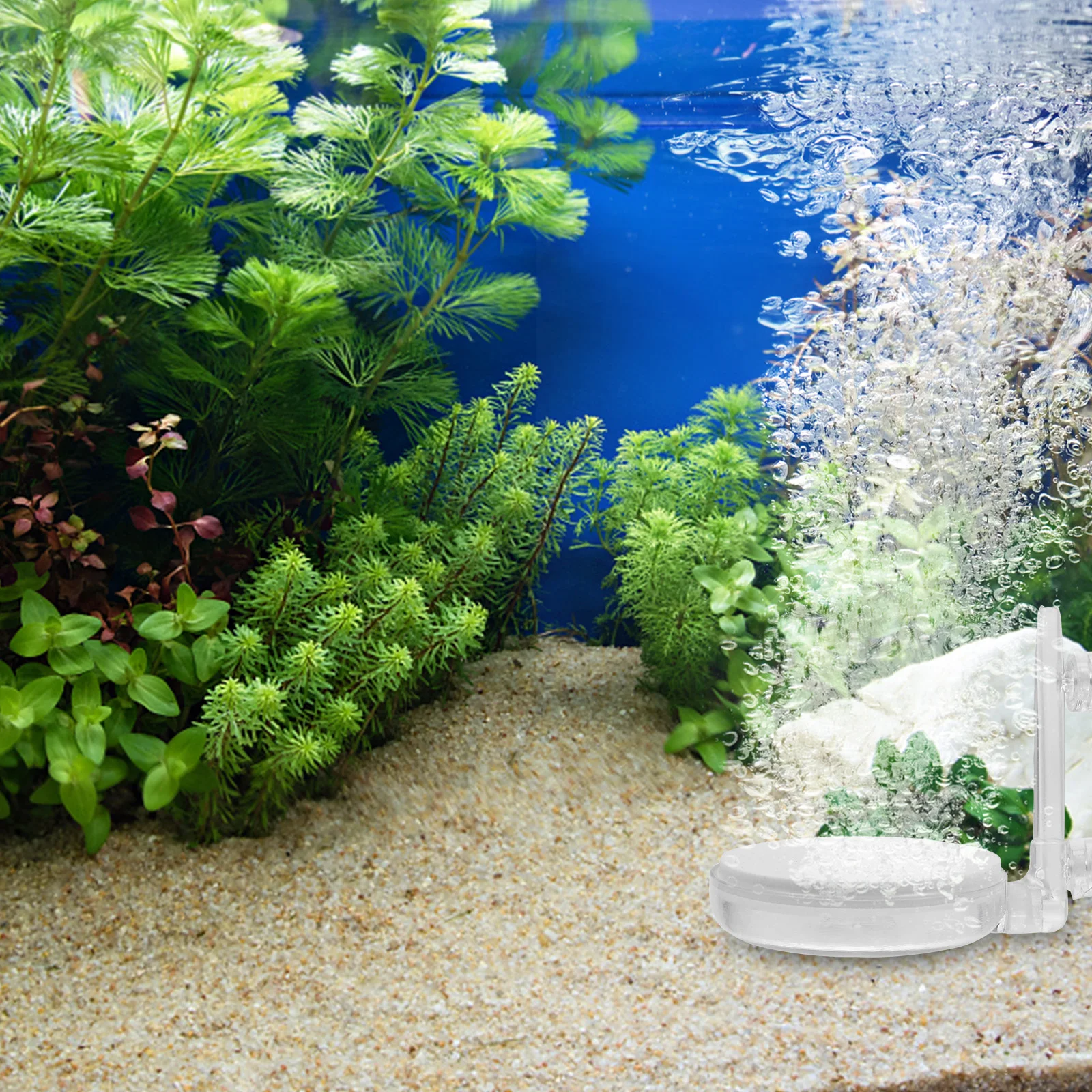 

Eco Friendly Acrylic Stone Fish Tank Bubbler Aquarium Air Pump Oxygen Diffuser For Pond Air Stone Accessory