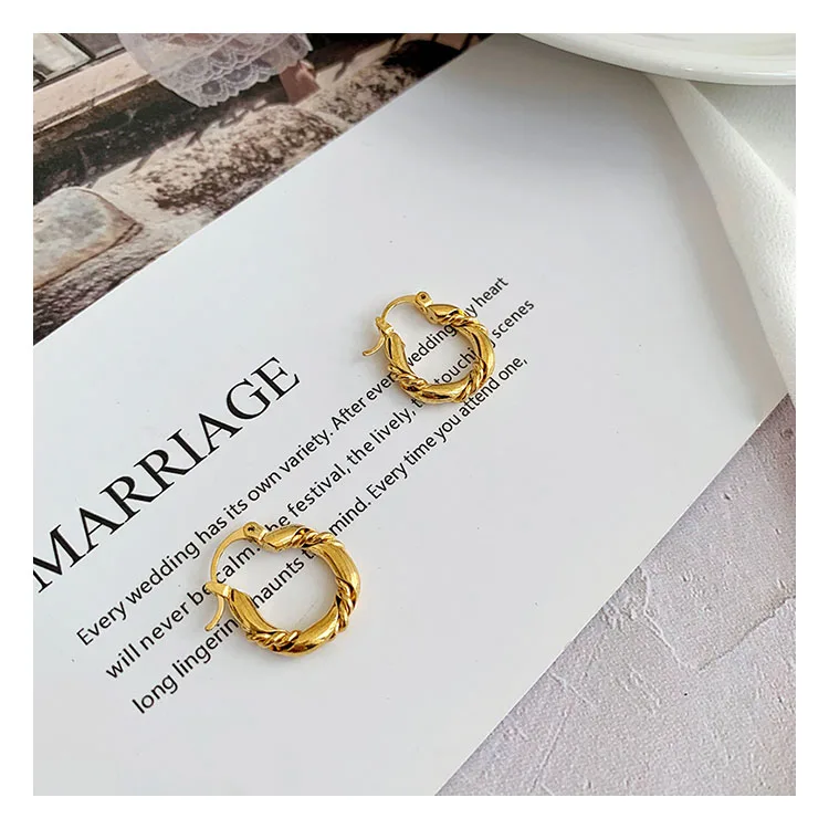 Titanium With 18k Gold Braid Earrings Women Jewelry Party T Show Gown Punk Gothic Top Runway Rare Korean Japan Trendy INS 6