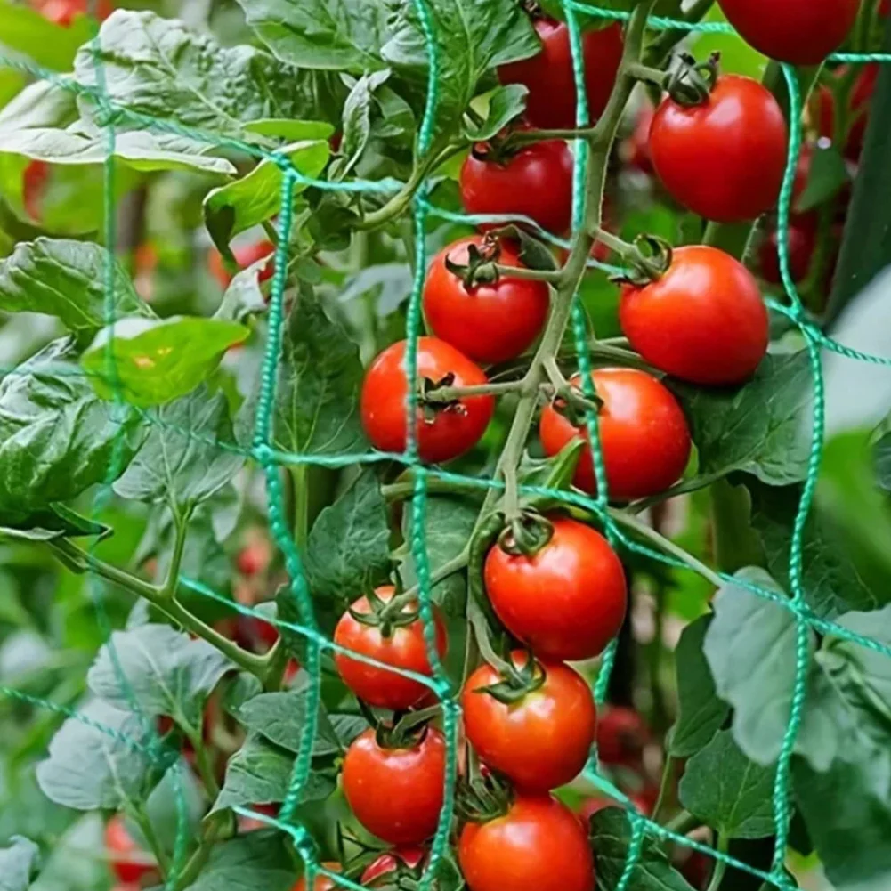 5x1.8m Plant Climbing Net Grape Trellis Net Reinforced Nylon Plant Trellis Mesh Net For Cucumber Tomato Grape Garden Accessories