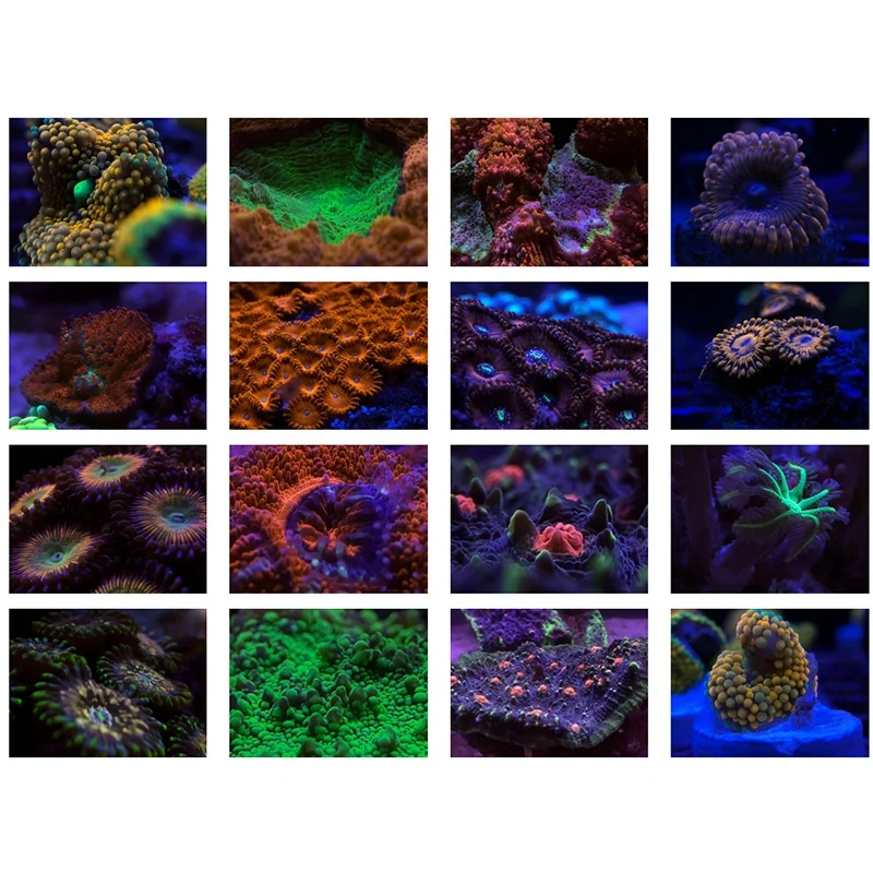 N93R حوض السمك الهاتف الذكي مرشح عدسة الكاميرا 4 في 1 عدة مرشح عدسة أصفر برتقالي للتصوير الفوتوغرافي حوض السمك الشعاب المرجانية