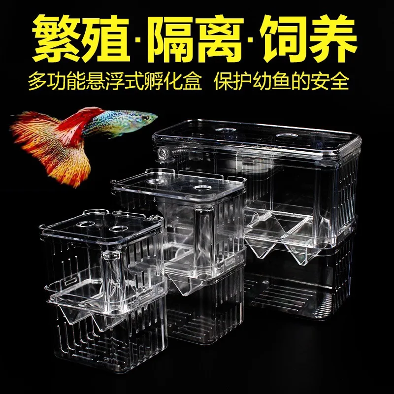 Box for fish farmers isolation hatchery for acrylic divider shrimp  clown damaged aggressive