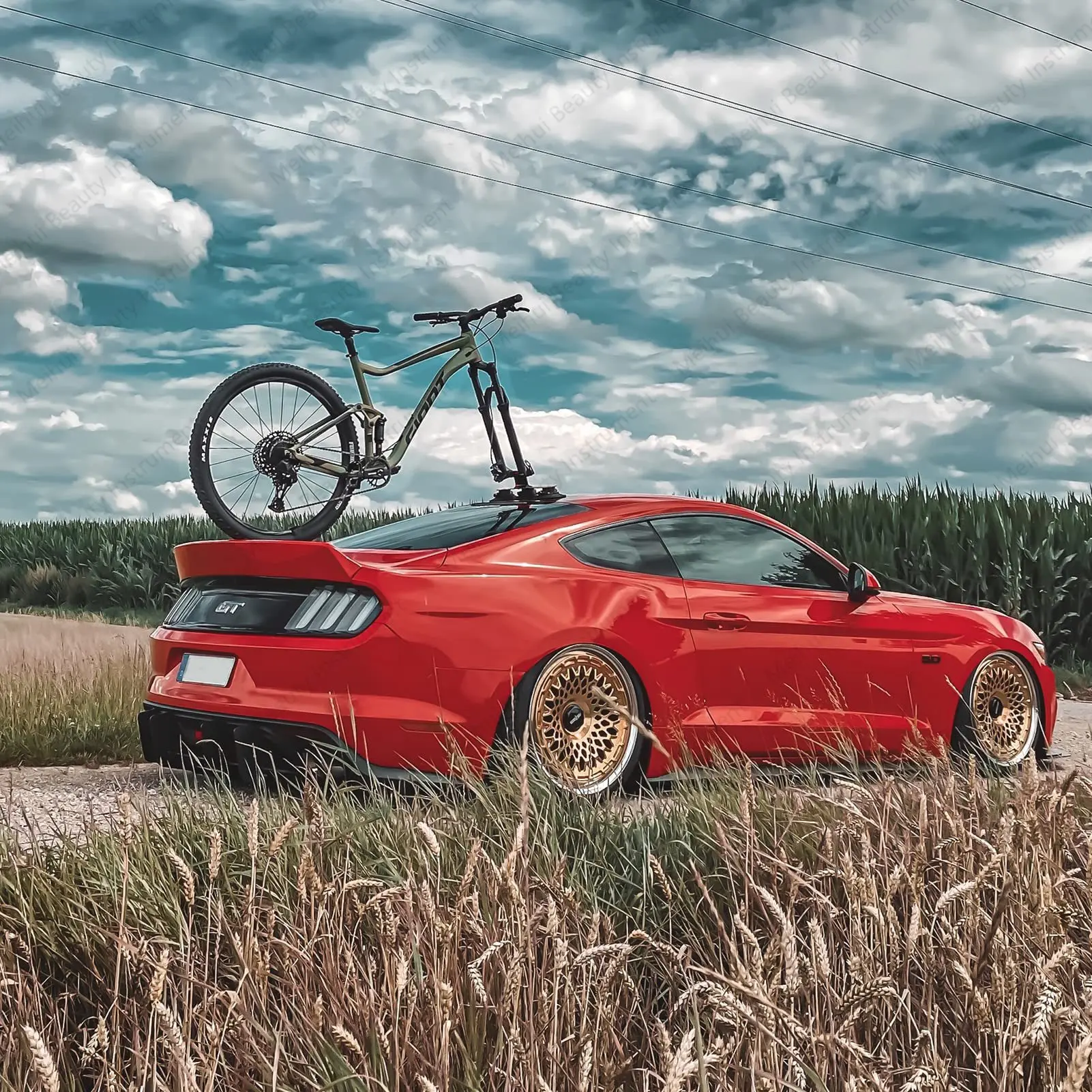 Roof Suction Cup Type Bicycle Frame, Quick-release Aluminum Alloy Bicycle Frame, with Suction Cup
