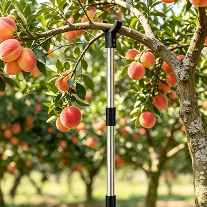 Adjustable Garden Branch Support Rod with Y Top for Positioning Drooping or Bending Fruit Tree Boughs Across Garden Plots B03E