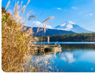 

Новейший аппарат для коррекции фигуры и сжигания жира Trusculpt RF 2026 года: монополярный радиочастотный аппарат 2 МГц для расщепления и уменьшения жировых отложений