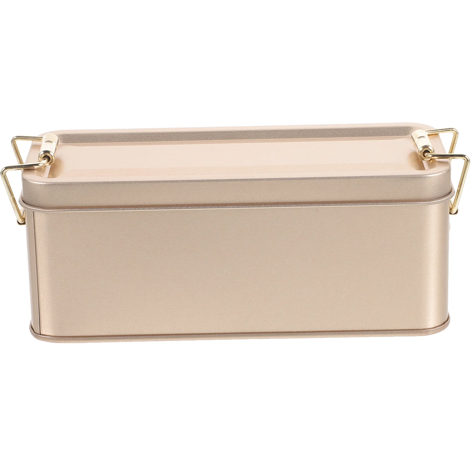 

Decorative Small Cookie Tin Box for Candies Biscuits Storage Gift Chocolate Tin with Lid Festive Party Favor Container Metal