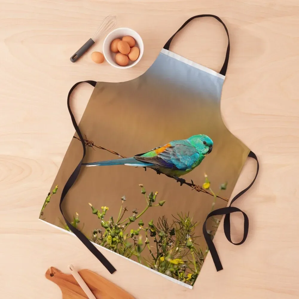 

Red rumped parrot Apron For Hairdresser Kitchen Apras Man Kitchen Things Korean Apron