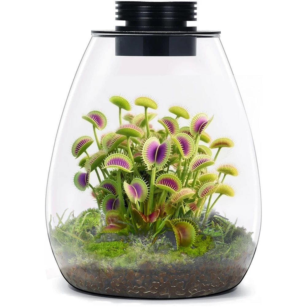 Glass Terrarium for Succulent, Moss, Miniature Gardening Landscape with Grow Light Indoor Plant Growth, Office Home Decoration