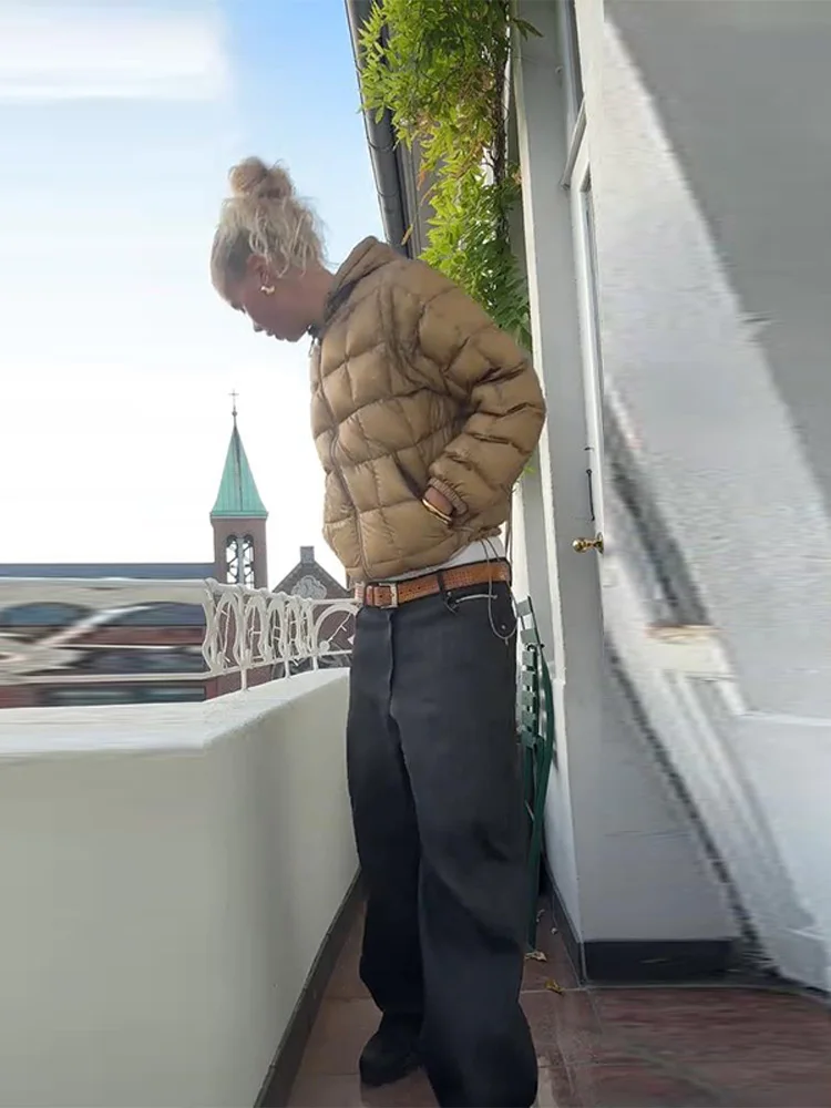 Pão com capuz jaqueta feminina casaco bainha elástica sólido novo outwear feminino solto casual curto zíper quente jaquetas de inverno para senhoras