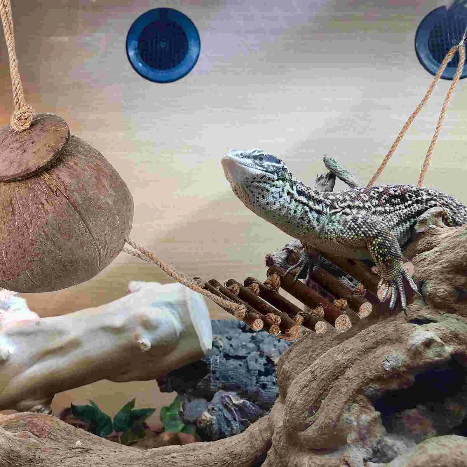 Lizard Hideout House Reptile Accessories Coconut Shell Rest Cave Decorative Leopard Gecko Tank Natural Material Lifelike Details