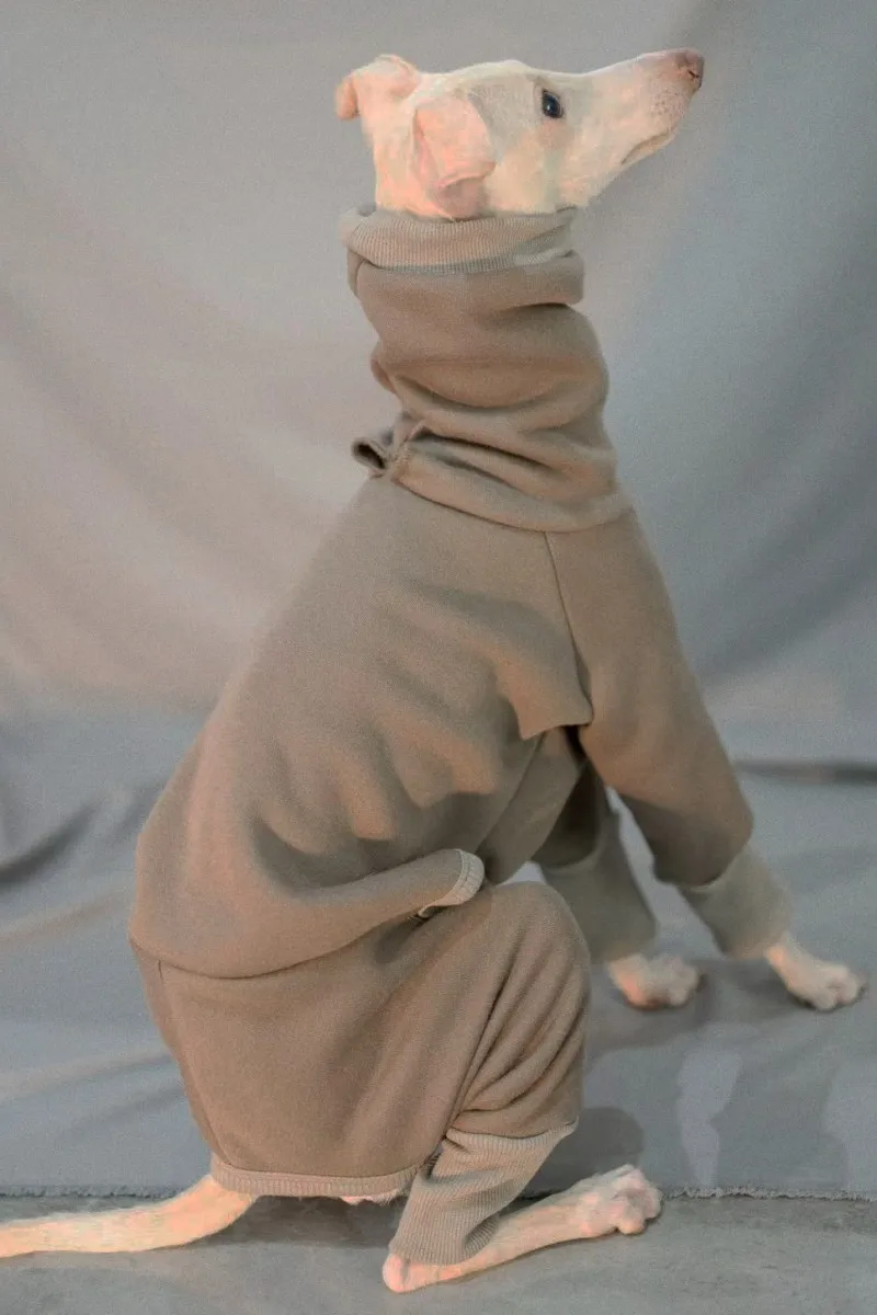 Gray puppy onesie high collar whippet sweatshirt Italian greyhound velvet warm coat