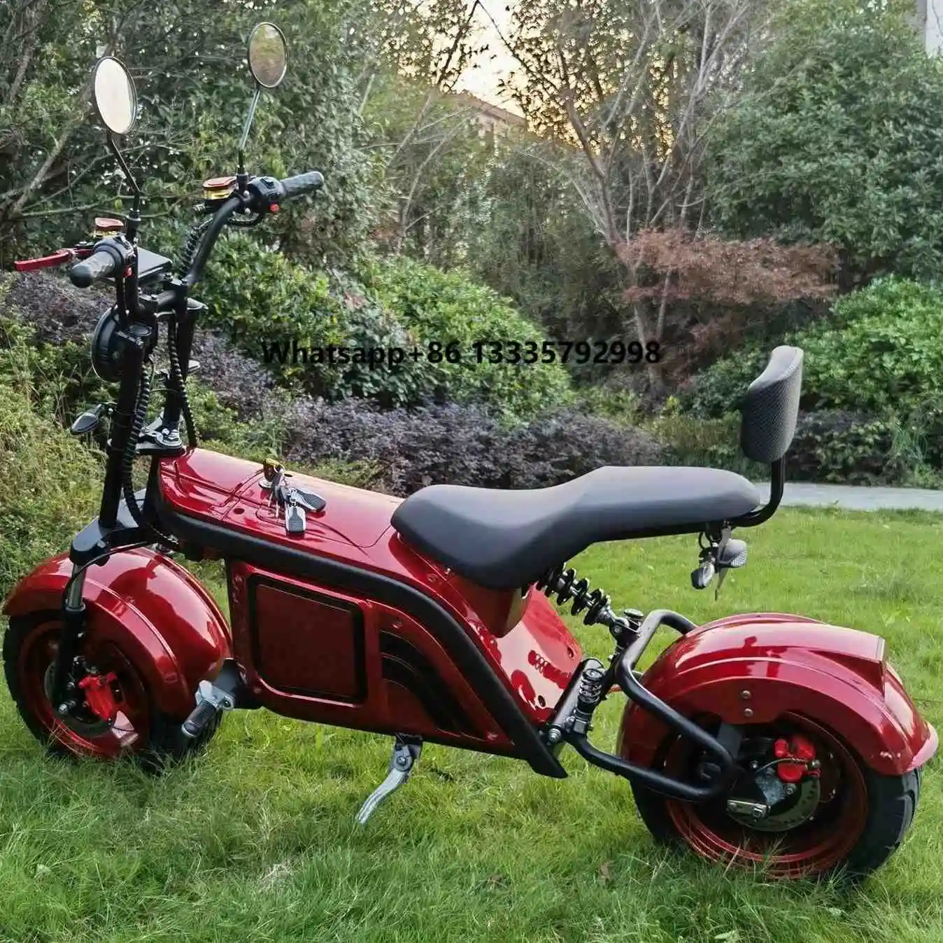 

High-End Upgrade Style 3000W 63V Electric Motorcycle Scooter Citycoco