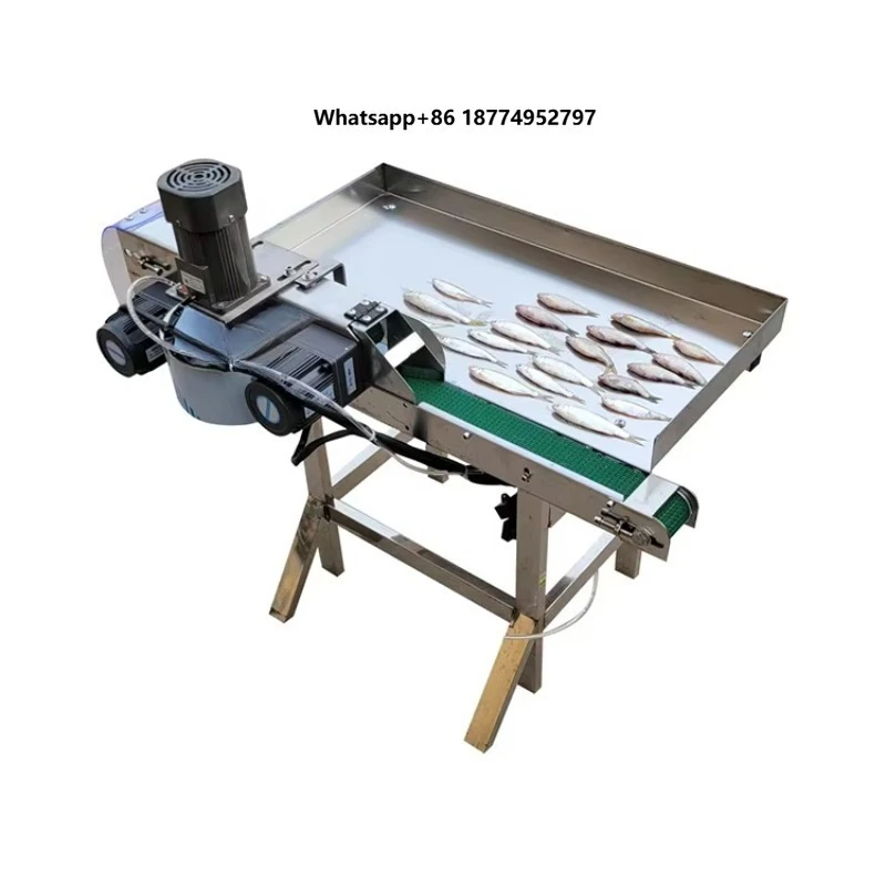 AM QDMECH High Efficiency Fish Killing Machine 200 Fish/Min Stainless Steel Commercial Fish Processing Machine