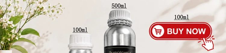 Hotel Aroma Diffusor Maschine Wand Raum Duft Diffusor Bluetooth Elektrische Geruch Verteiler Elektrische Geruch für Zuhause – Detail 1