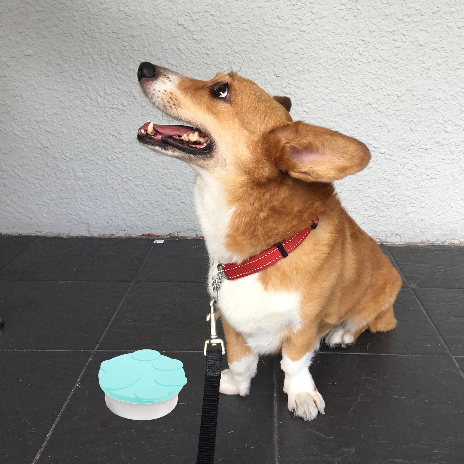 

Silicone Cover Pet Food Lids Wear-resistant Can Spoon for Canned Food Household Use Flexible Reusable Cat Bowl Accessory