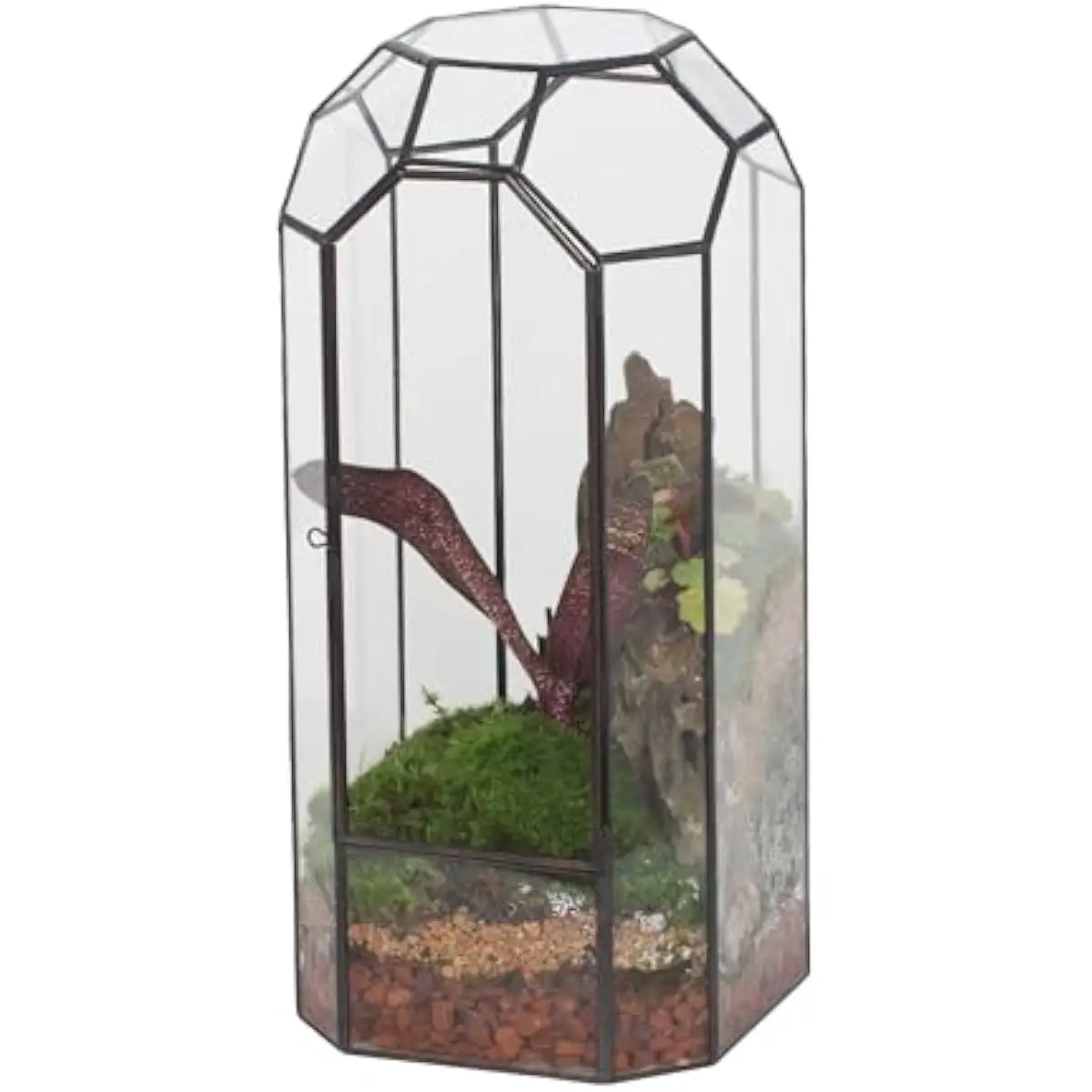 Octagonal Glass Terrarium Enclosure with Hinged Front Door 14x14x32.5cm Vintage Style Indoor Miniature Garden Habitat Transparen