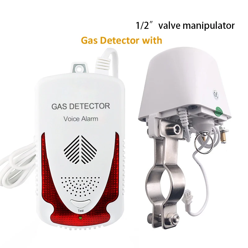 220V EU plug Combustible Natural Gas Leak Detector Sensitive LPG Gas Detector English Voice Prompt with 1/2