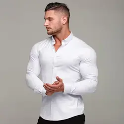 Camicia da uomo elastica a quattro lati senza rughe primavera ed estate manica lunga formale business casual seta indossare ferro libero