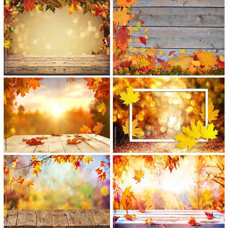 

SHUOZHIKE Natural Scenery Photography Background Fall Leaves Forest Travel Photo Backdrops Studio Props 211224 QQTT-08