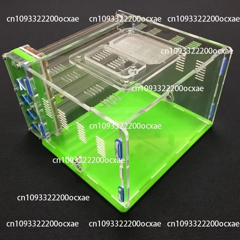 Acrylic Ant Shell Flat Pack Ant, With 5pcs Tube