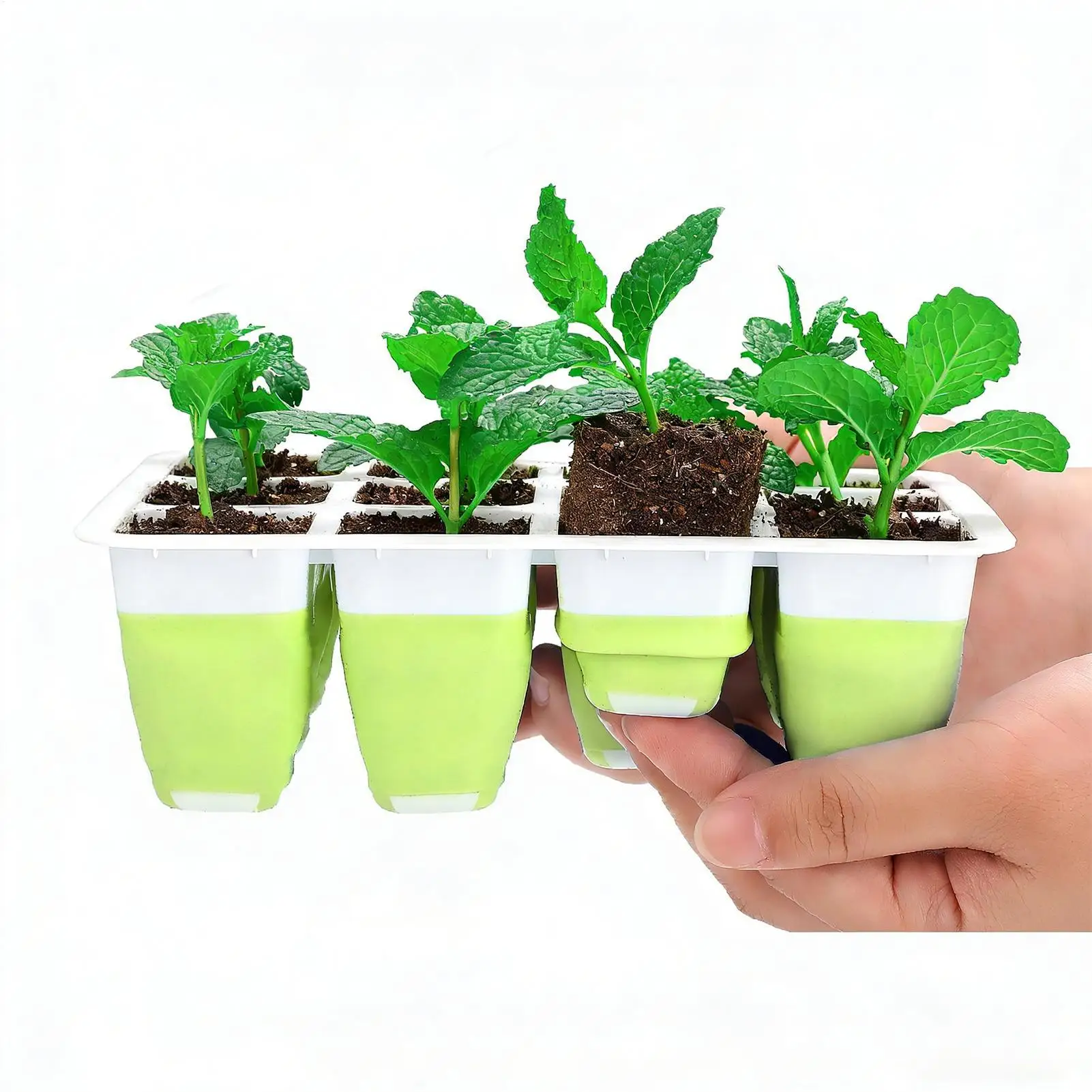 Seedling Starter Trays 5 Pieces 60 Cells Reusable Silicone Growing Starter Silicone Seedling Starting Trays for Indoors